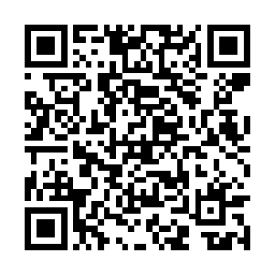 某已经将自己的生命偿还了矢真大人的知遇之恩了二维码生成