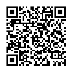 查理兹带着泰拉在落日塔酒店里开始四处游览起来二维码生成