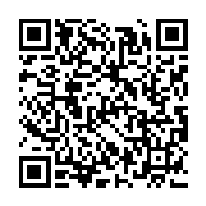 柯子华带着丁二狗进了生态园的最里面的一个院子二维码生成