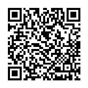 柯平教授前不久回到京城只呆了两天又去了西域陀罗二维码生成