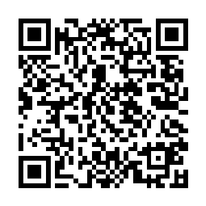 柳昔卿不知道这些触手有没有击破晏修的护体灵力罩二维码生成