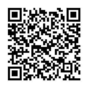 柳泌和梁高辅发动药庐中几乎全部的力量予以配合二维码生成