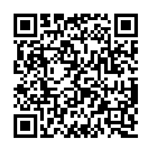 柳珪跟那白衣练气士和棋剑乐府的高手并肩而行二维码生成