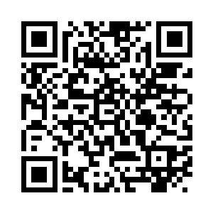柳琴有点哭笑不得的看着眼前可怜巴巴的胖子二维码生成