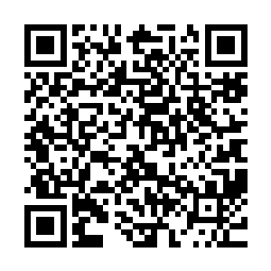 柳逸尘一边制造一边飞快的将这些兽人傀儡送入兽人队伍之中二维码生成