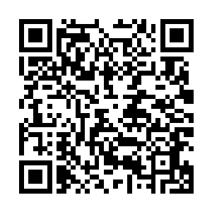 柳逸尘从储物戒指之中把各种工具和食材都给拿了出来二维码生成