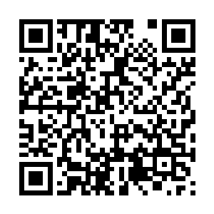 柳逸尘以为那家人会招供出来这个小号暗室的存在二维码生成
