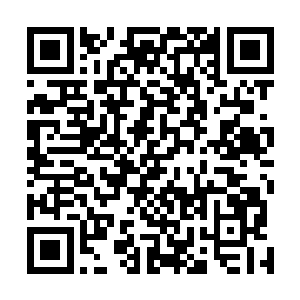 柳逸尘和李心慈看着头顶上那些好似星光般高悬洞顶的灯二维码生成