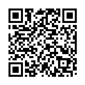 柳逸尘和碧姬的奖金立刻就落实了二维码生成