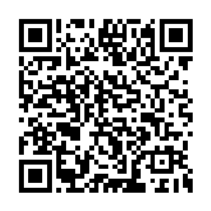 柳逸尘回头看着四仰八叉趴在圣狱门口的小身子二维码生成