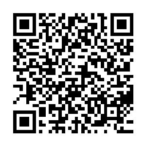 柳逸尘将三个人之中的老外和老棒子桌面上的筹码都给赢没了二维码生成