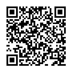 柳逸尘就可以用李玄机炮制的松露王来生肌活血二维码生成