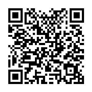 柳逸尘着实是掌控着我们公司百分之五十一的股份二维码生成