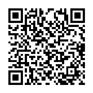 柳逸尘知道在他这边算是得不到任何有用的信息了二维码生成