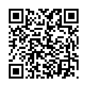 柳逸尘道谢之后又和端木聊了一会儿二维码生成