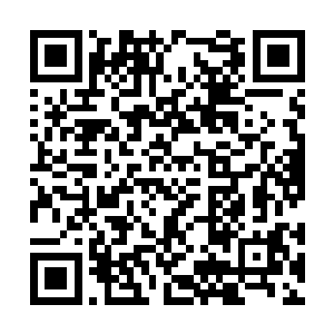 柳非笑自认灵兽的类别一百种他至少认识九十九种二维码生成