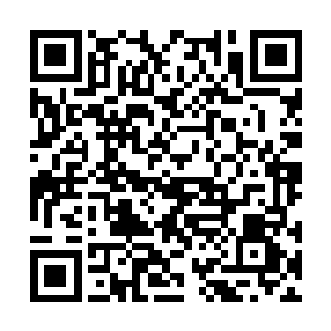 树洞中的那个修士感觉到压在他身上的气势消失了二维码生成