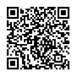 根基大损的他只怕就更难战胜督瑞尔那个可怕的家伙了二维码生成
