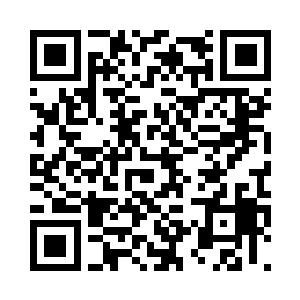 根据国外军情机构对华国体制的了解二维码生成
