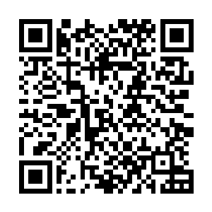 根据我们部署在极天界外围的侦察晶眼传输回来的数据判断二维码生成