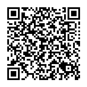 根据调查出来的结果当日劫走凤君翔的黑衣人首领是南淮的骁骑将军二维码生成