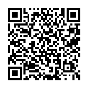 根本不可能来一个小小的机甲团做一名普通队员二维码生成