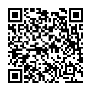 根本就不可能有人能够配得上自己的姑姑紫霞仙子二维码生成