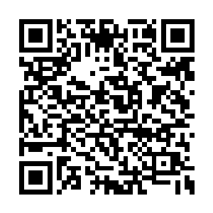根本就不是白熙颜这种半桶水仙符师能够破解的二维码生成
