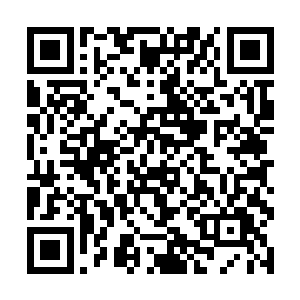 根本就想不到真的会有修士已经潜伏到了他们的附近二维码生成