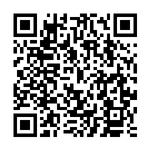 根本就是自己跟那里的领导暗相操作才能以极低的价钱得来的二维码生成