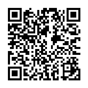 根本就是铁一般的事实……连金顶鸡冠蛇都算是全身都是宝二维码生成