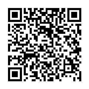 根本就没有发现地下的草丛中正有条溪域蛇在伺机而动二维码生成
