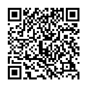 根本就没有收到长阳已经重新回到光明圣殿的消息二维码生成