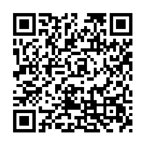 根本就没有注意到自己的身后多出来了一个胖子二维码生成