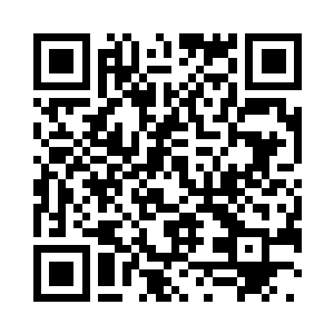 根本就没有消散在地心之炎的面前二维码生成