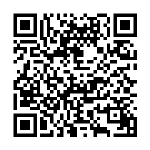 根本就没有见过楚暮与统领级剑气之灵战斗的一幕二维码生成
