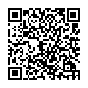根本就看不出出来两人在这段时间里到底遭遇了些什么二维码生成