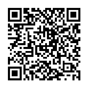 根本无力再去抓秦方的衣领了……甚至于那剧烈的痛楚二维码生成