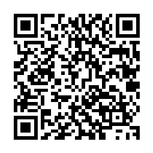 根本无法看到这些足足需要数人合抱才能抱住的大树究竟有多高二维码生成
