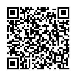 根本没想到众人这次还带来了吴岩这个强力外援二维码生成