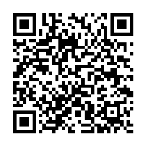 根本没有任何一个国家能做到和坚持这样的人才选拔标准二维码生成