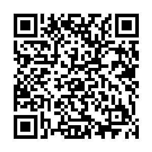 根本没有发现雷天被在身后的双手之中已经开始闪烁灵光二维码生成