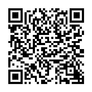 根本没有受到零式拦截的鱼鹰鱼雷机已经开始降低高度二维码生成