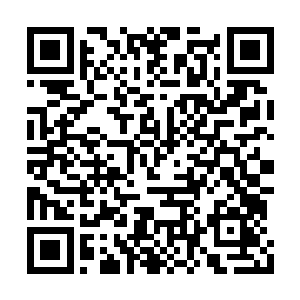 根本没有时间考虑什么节操不节操的海洋科学家二维码生成