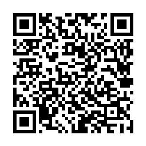 根本没有看清自己手下那些身经百战的战士是怎么死的二维码生成