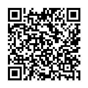 格斯将闪电生命的传承编译成了类似晶脑病毒的形态二维码生成