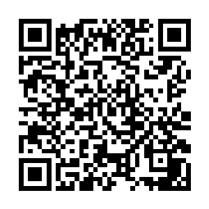 格斯的肉眼和意识都没有察觉到雷烈紧贴地面的逼近二维码生成