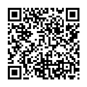 格罗廖夫和托米被配置到了雷布罗夫的侦查小组里二维码生成