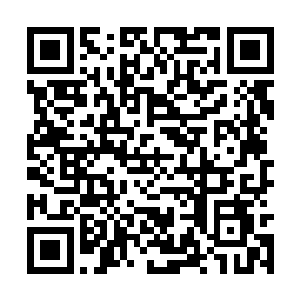 格莱诺斯一个人汲取的速度便超过了整个腐烂高原二维码生成