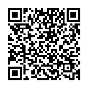 格莱诺斯的分身似乎被因海姆的震颤掌打碎身体内部的一些内脏二维码生成